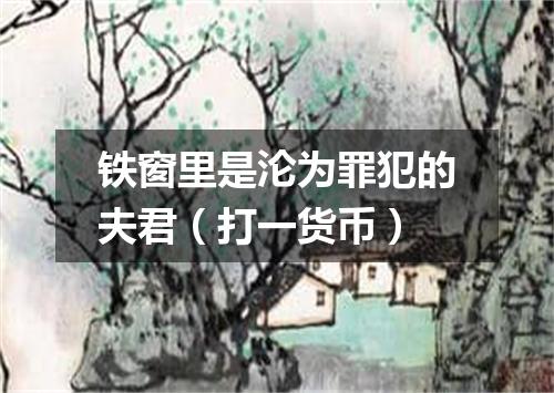 铁窗里是沦为罪犯的夫君（打一货币）
