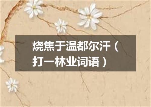 烧焦于温都尔汗（打一林业词语）