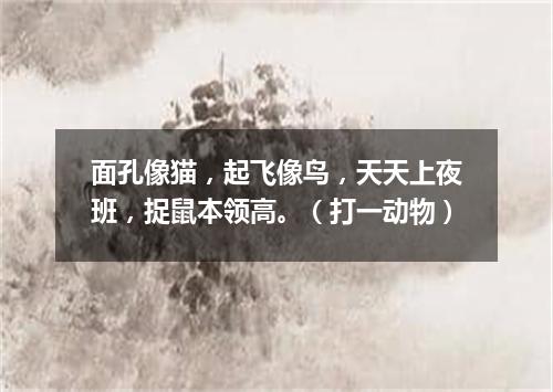 面孔像猫，起飞像鸟，天天上夜班，捉鼠本领高。（打一动物）