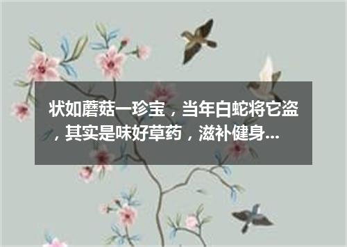状如蘑菇一珍宝，当年白蛇将它盗，其实是味好草药，滋补健身价值高。（打一植物）