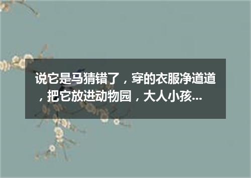 说它是马猜错了，穿的衣服净道道，把它放进动物园，大人小孩都爱瞧。（打一动物）