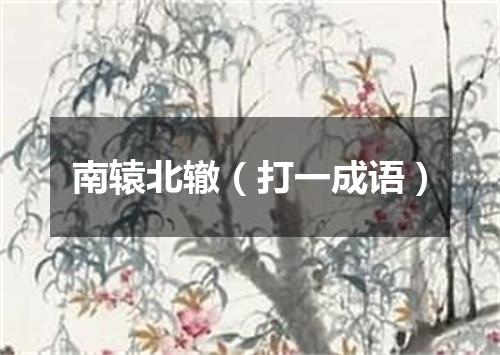 南辕北辙（打一成语）