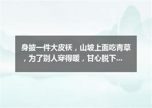 身披一件大皮袄，山坡上面吃青草，为了别人穿得暖，甘心脱下自己毛。（打一动物）