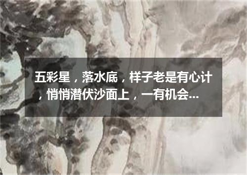 五彩星，落水底，样子老是有心计，悄悄潜伏沙面上，一有机会搞袭击。（打一动物）