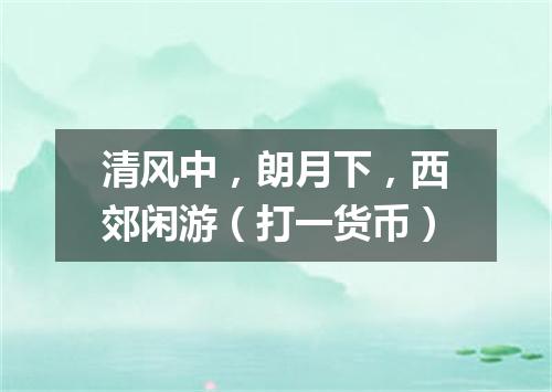 清风中，朗月下，西郊闲游（打一货币）
