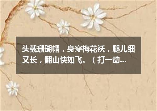 头戴珊瑚帽，身穿梅花袄，腿儿细又长，翻山快如飞。（打一动物）