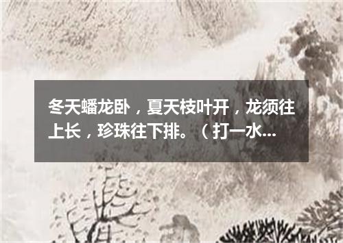 冬天蟠龙卧，夏天枝叶开，龙须往上长，珍珠往下排。（打一水果）