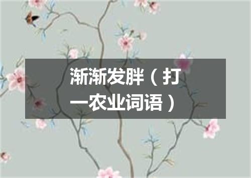 渐渐发胖（打一农业词语）