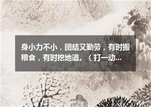 身小力不小，团结又勤劳，有时搬粮食，有时挖地道。（打一动物）