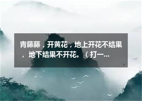 青藤藤，开黄花，地上开花不结果， 地下结果不开花。（打一植物）