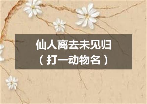 仙人离去未见归（打一动物名）