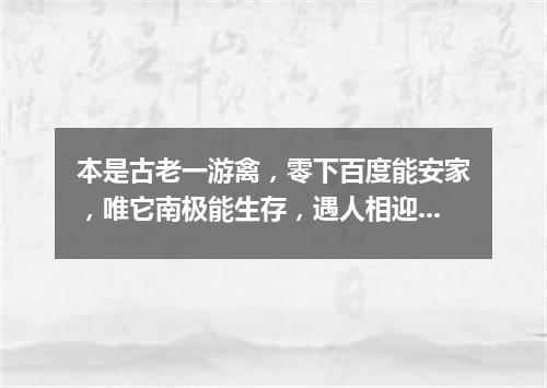 本是古老一游禽，零下百度能安家，唯它南极能生存，遇人相迎不害怕。（打一动物）