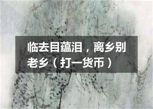 临去目蕴泪，离乡别老乡（打一货币）
