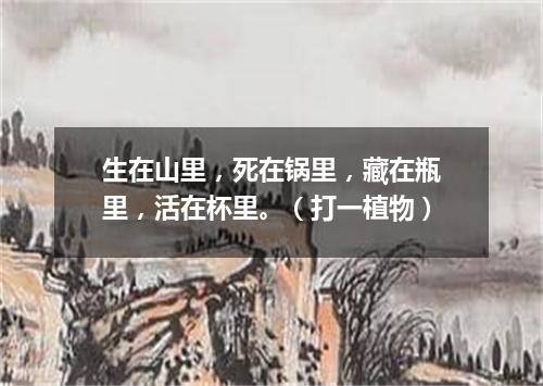 生在山里，死在锅里，藏在瓶里，活在杯里。（打一植物）