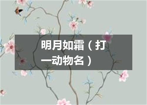明月如霜（打一动物名）