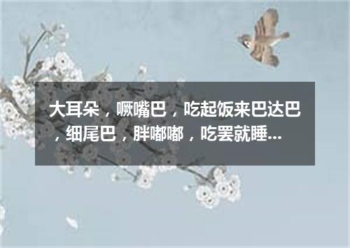 大耳朵，噘嘴巴，吃起饭来巴达巴，细尾巴，胖嘟嘟，吃罢就睡呼噜噜。（打一动物）