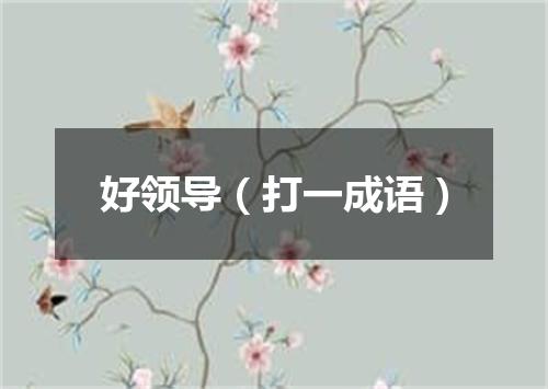 好领导（打一成语）