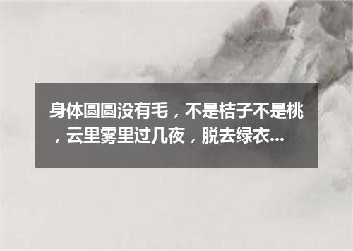身体圆圆没有毛，不是桔子不是桃，云里雾里过几夜，脱去绿衣换红袍。（打一植物）