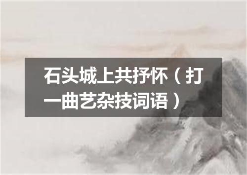 石头城上共抒怀（打一曲艺杂技词语）