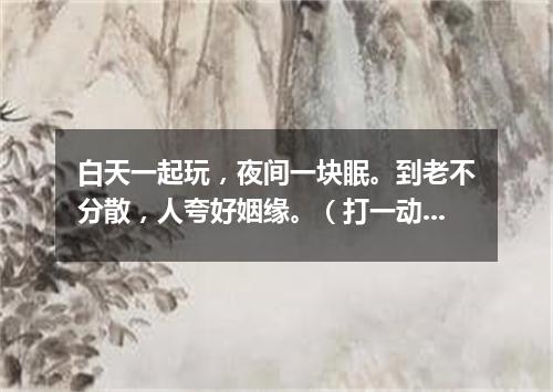 白天一起玩，夜间一块眠。到老不分散，人夸好姻缘。（打一动物）
