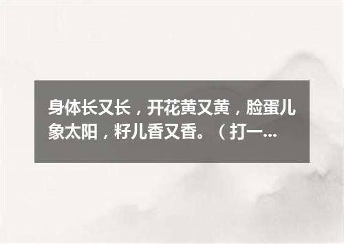 身体长又长，开花黄又黄，脸蛋儿象太阳，籽儿香又香。（打一植物）