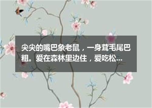尖尖的嘴巴象老鼠，一身茸毛尾巴粗。爱在森林里边住，爱吃松子爱上树。（打一动物）