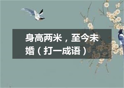 身高两米，至今未婚（打一成语）