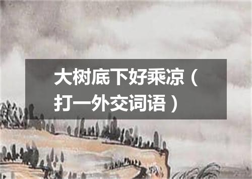大树底下好乘凉（打一外交词语）
