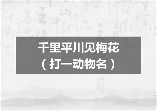 千里平川见梅花（打一动物名）