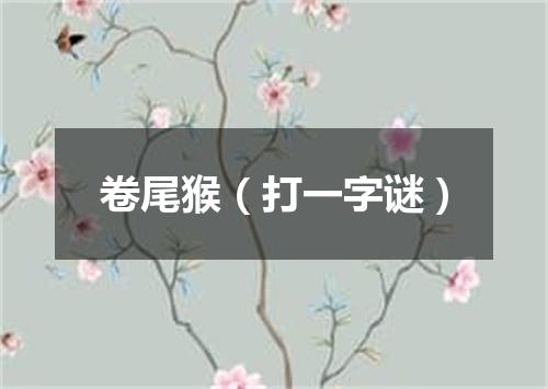 卷尾猴（打一字谜）