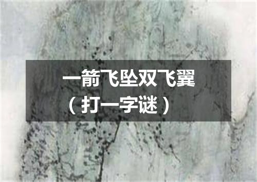 一箭飞坠双飞翼（打一字谜）