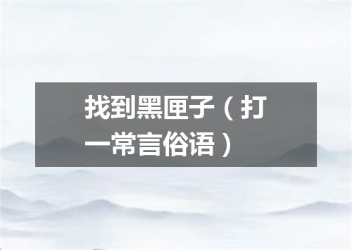 找到黑匣子（打一常言俗语）