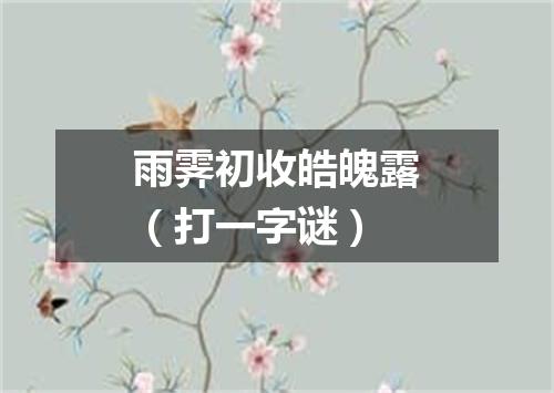 雨霁初收皓魄露（打一字谜）