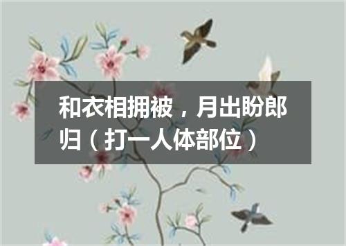 和衣相拥被，月出盼郎归（打一人体部位）