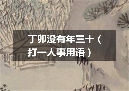 丁卯没有年三十（打一人事用语）