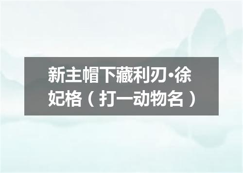 新主帽下藏利刃·徐妃格（打一动物名）