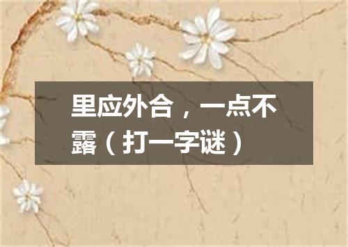 里应外合，一点不露（打一字谜）