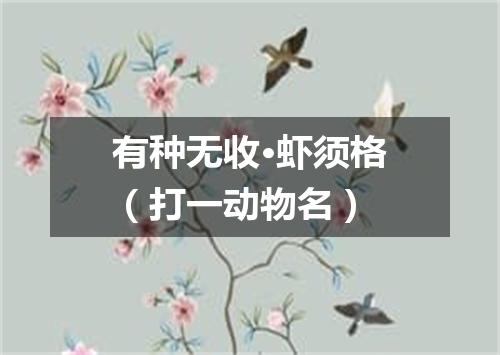 有种无收·虾须格（打一动物名）