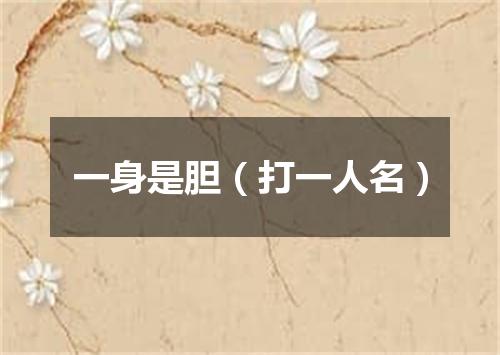 一身是胆（打一人名）