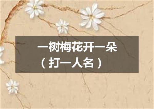 一树梅花开一朵（打一人名）