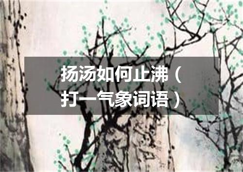 扬汤如何止沸（打一气象词语）