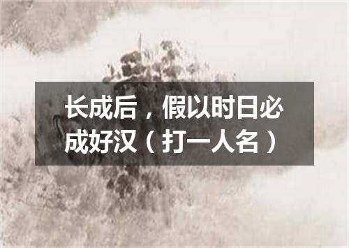 长成后，假以时日必成好汉（打一人名）