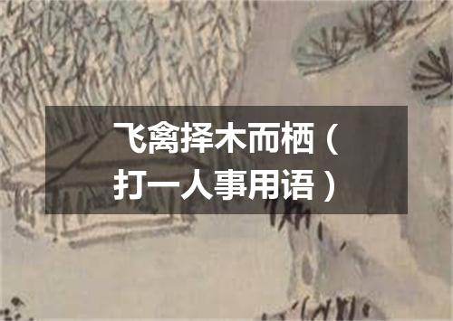 飞禽择木而栖（打一人事用语）
