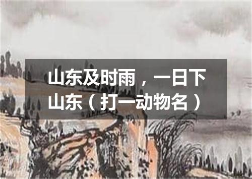 山东及时雨，一日下山东（打一动物名）