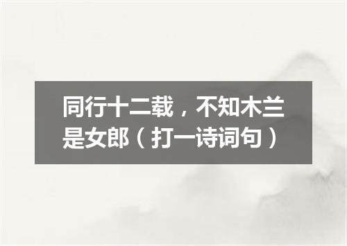 同行十二载，不知木兰是女郎（打一诗词句）