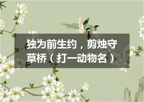 独为前生约，剪烛守草桥（打一动物名）