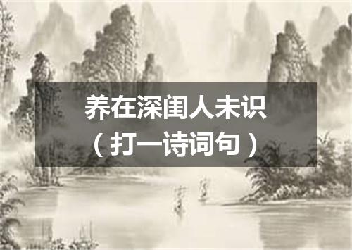 养在深闺人未识（打一诗词句）