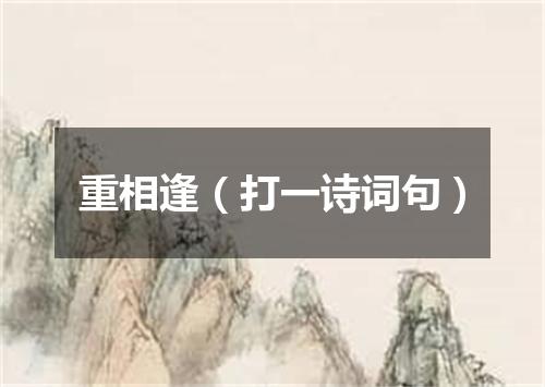 重相逢（打一诗词句）