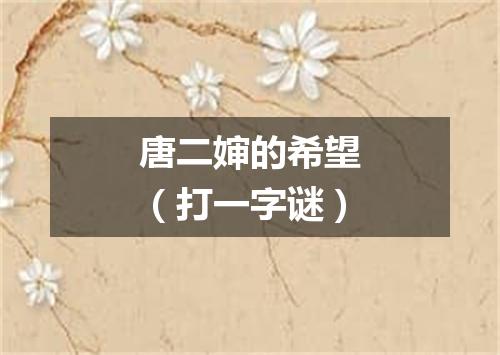 唐二婶的希望（打一字谜）