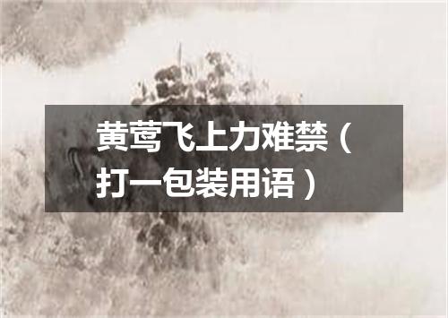 黄莺飞上力难禁（打一包装用语）